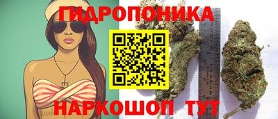 твердый Будённовск